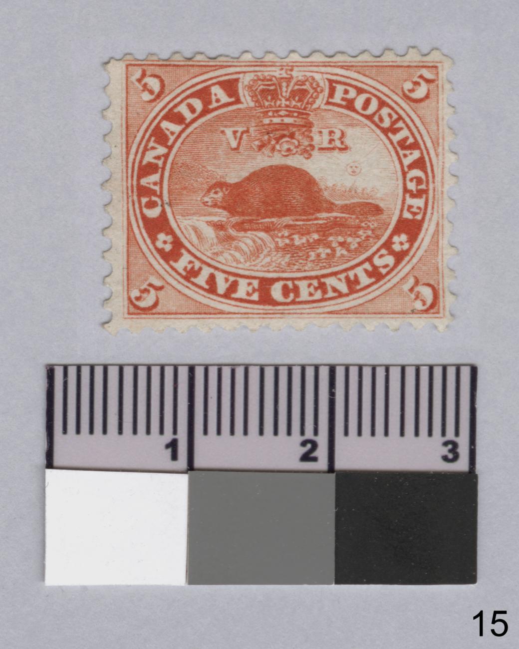 Photo d’un timbre-poste avec une image castor et une règle en dessous pour l’échelle.
